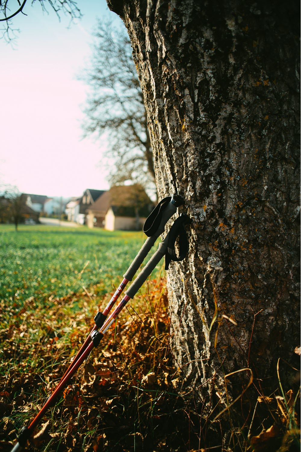 Nordic walking met stokken